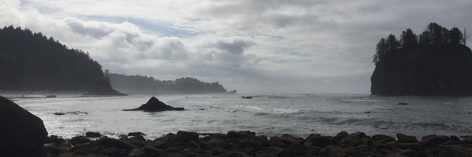 susannebrooks's profile banner image