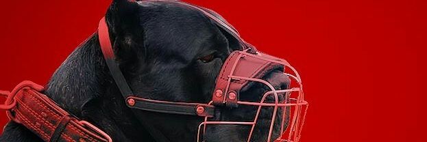 httpsjaps's profile banner image