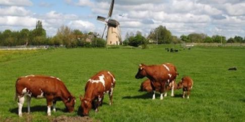 Hans_Horlings's profile banner image