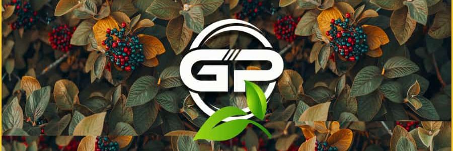 bobby_exploit's profile banner image