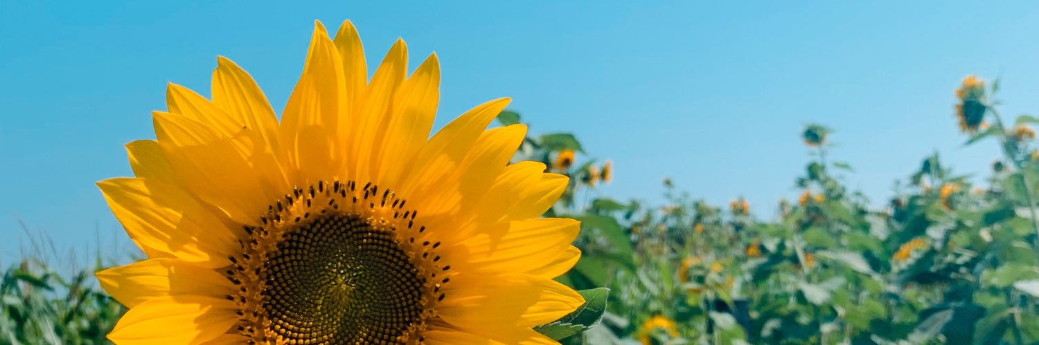 darlettaaa's profile banner image