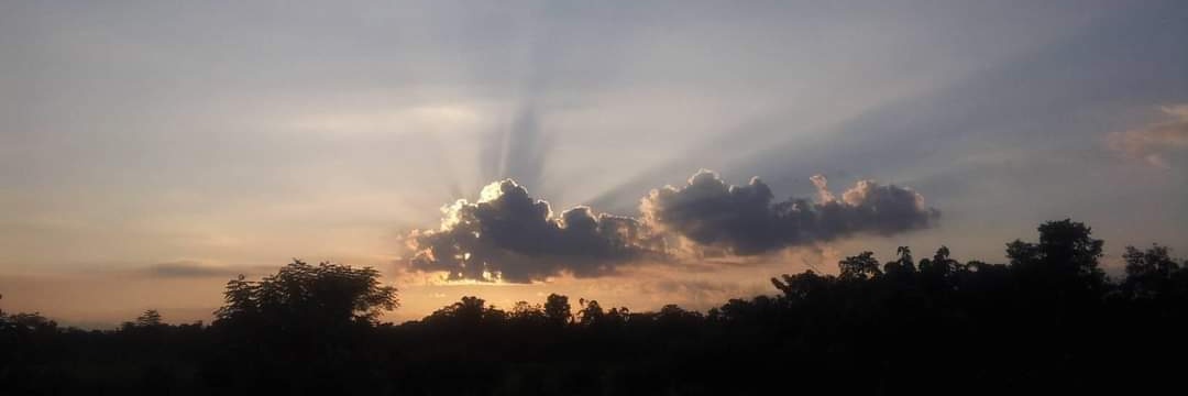 dipaale's profile banner image