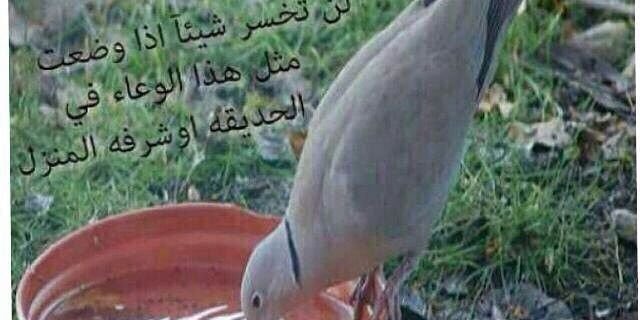 saad7896's profile banner image