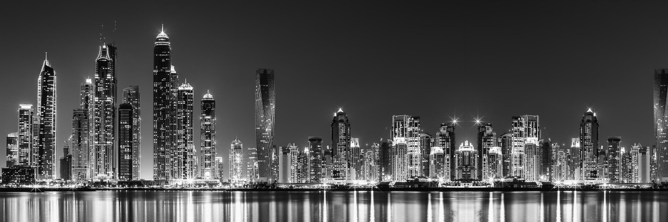 CEO Middle East banner