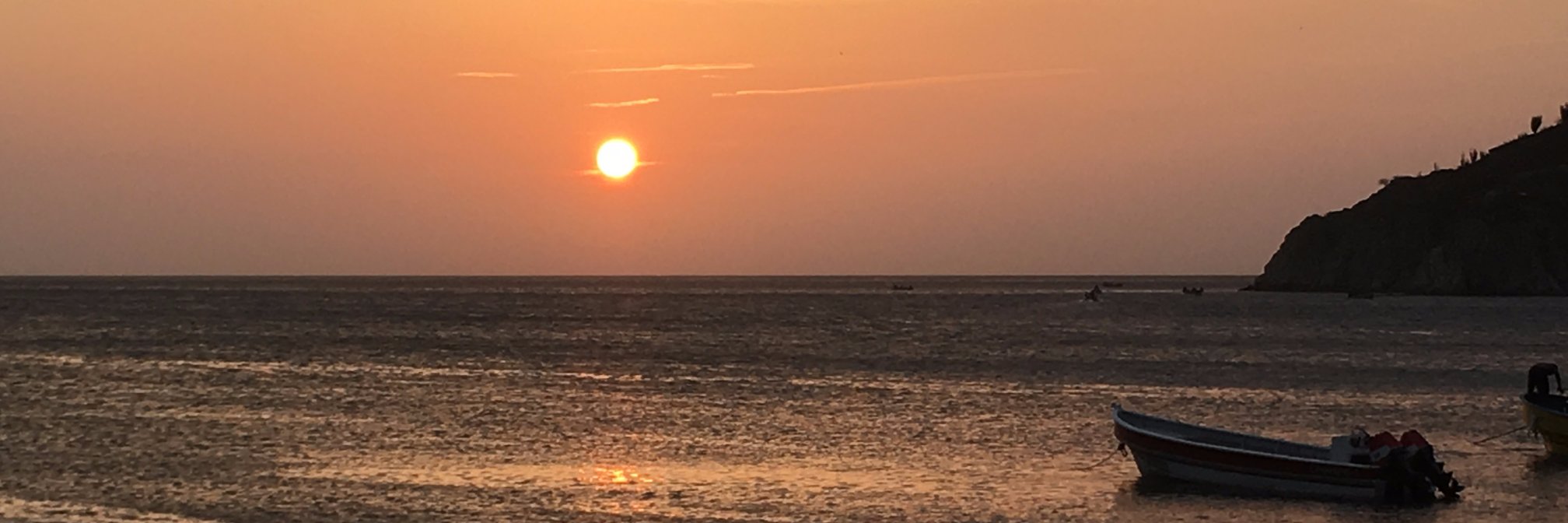 Oswaldinho29's profile banner image