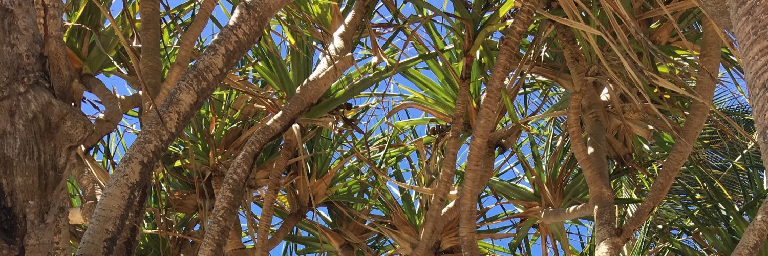 The Pineapple Speaks (@PineappleRant) / Posts / X