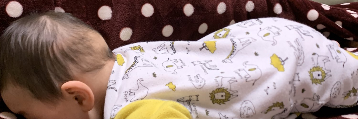 neko_lv99's profile banner image