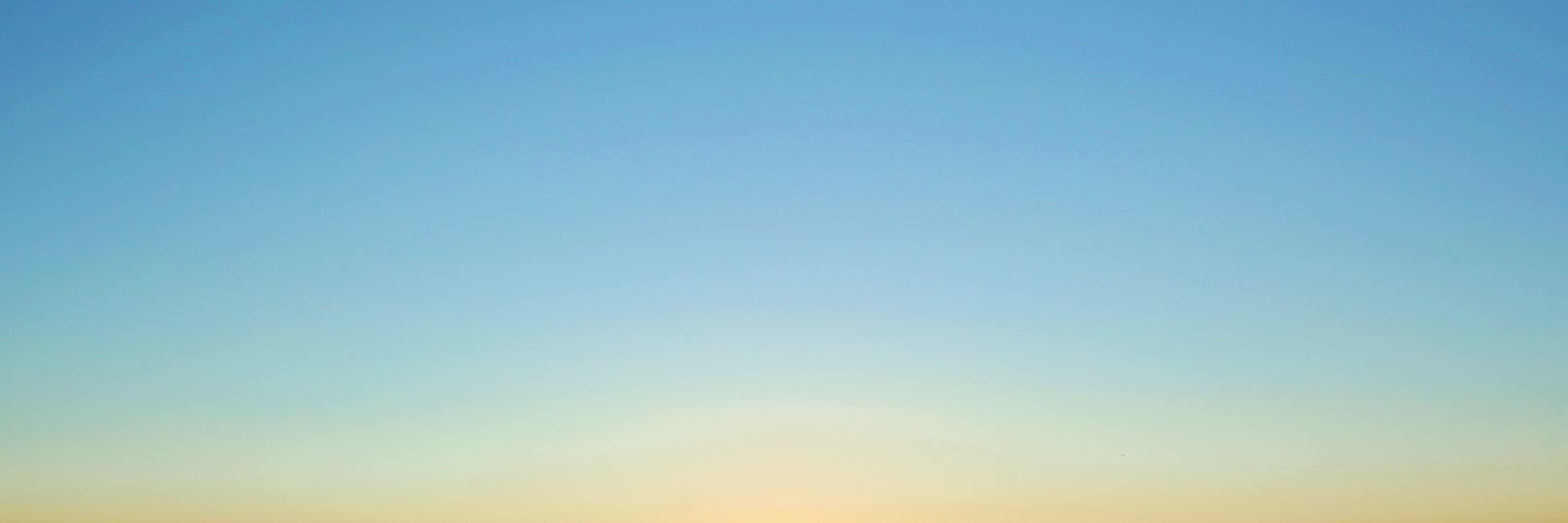 日枝さんご banner