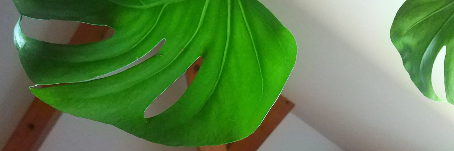 iamVe__'s profile banner image