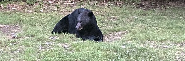 ridged8 Profile Banner