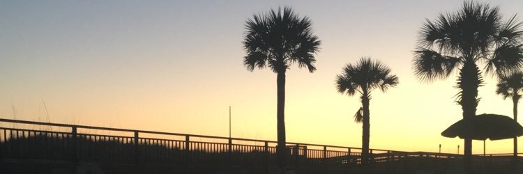 TaylorSodini's profile banner image