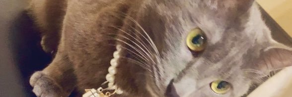 ma_tsu420's profile banner image