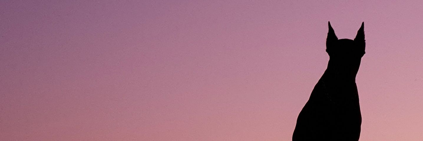 ivanbandic's profile banner image