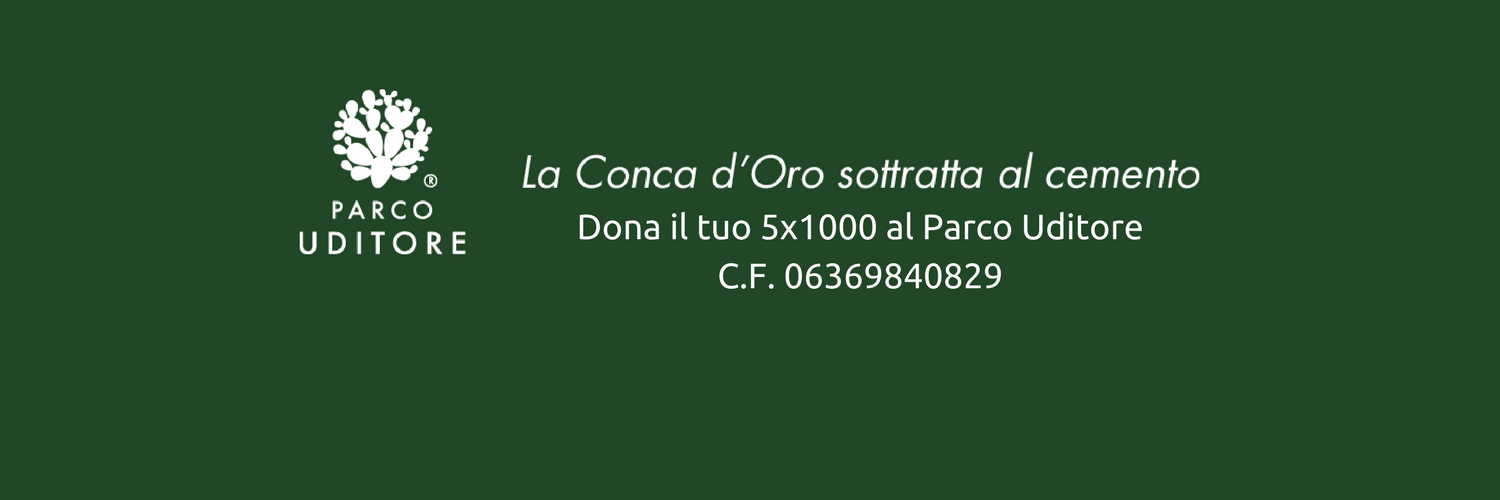 Parco_Uditore's profile banner image
