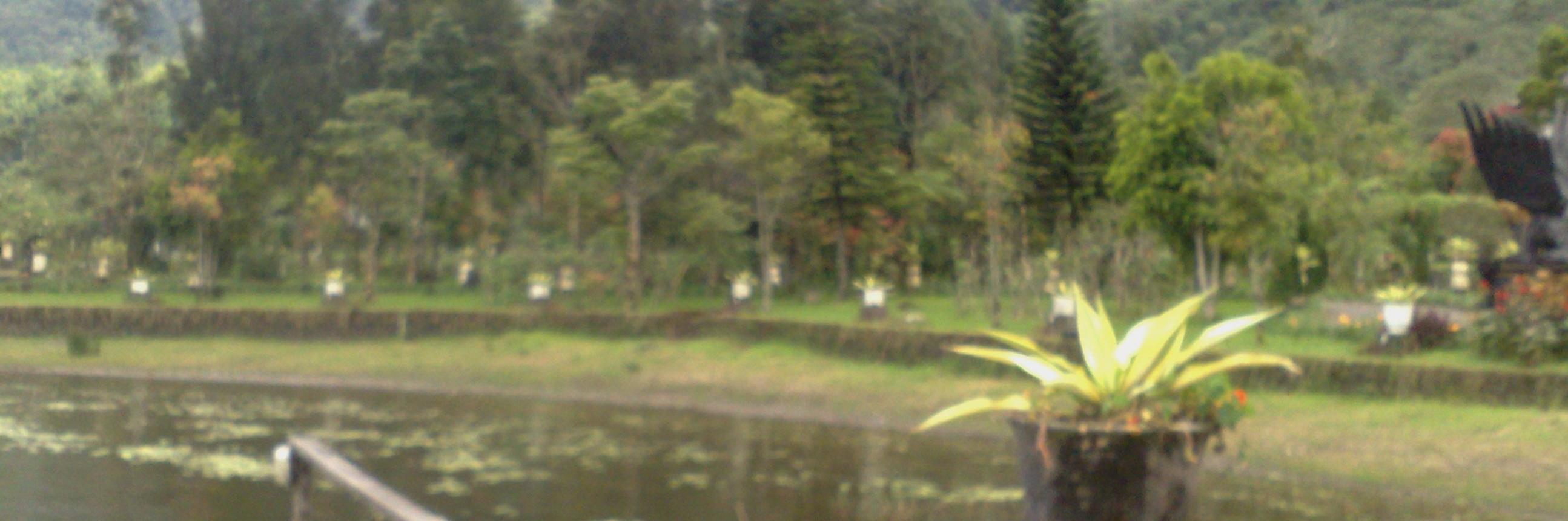 Budi199207's profile banner image