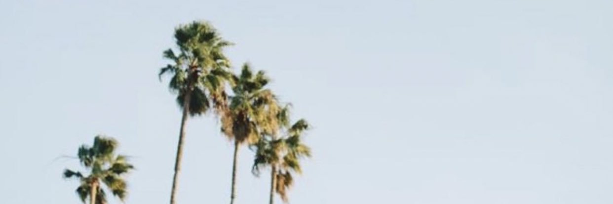 ohhelloamber's profile banner image