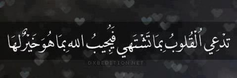 heba_shaaban's profile banner image