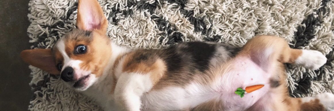 madisonmcd3's profile banner image