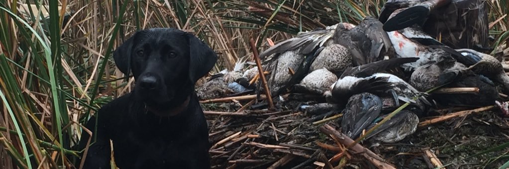 Zkman21's profile banner image