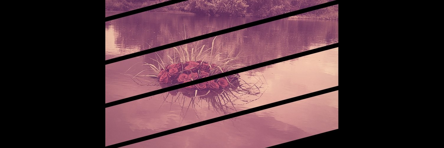 ebru_soylemez's profile banner image