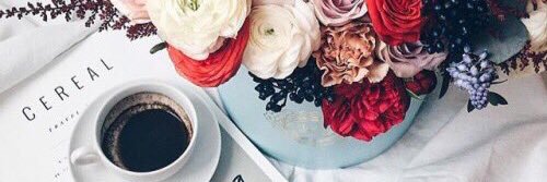 LENA_ali99's profile banner image