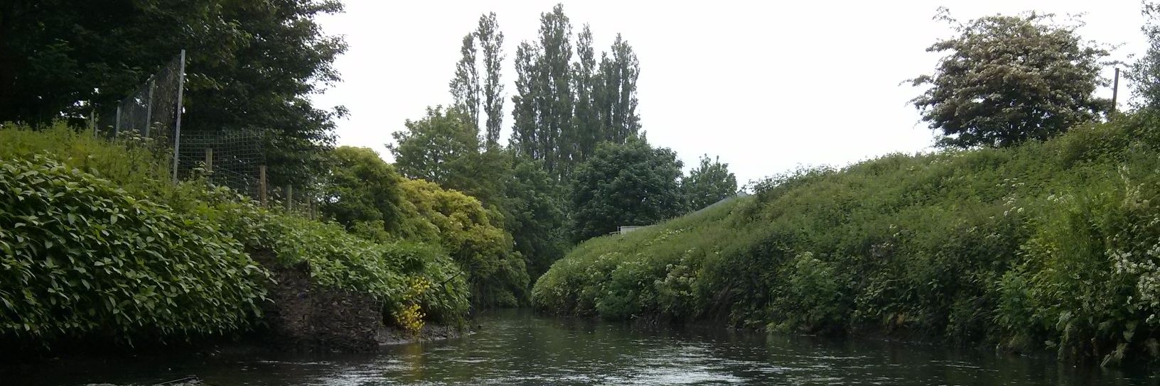 Douglas Catchment banner