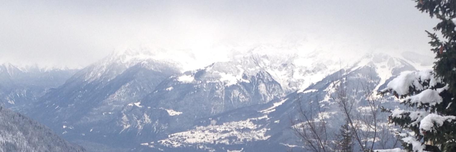 DavidGriceAdel's profile banner image