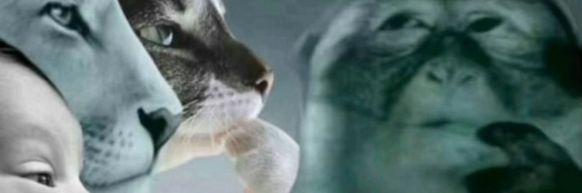 heydanihere's profile banner image