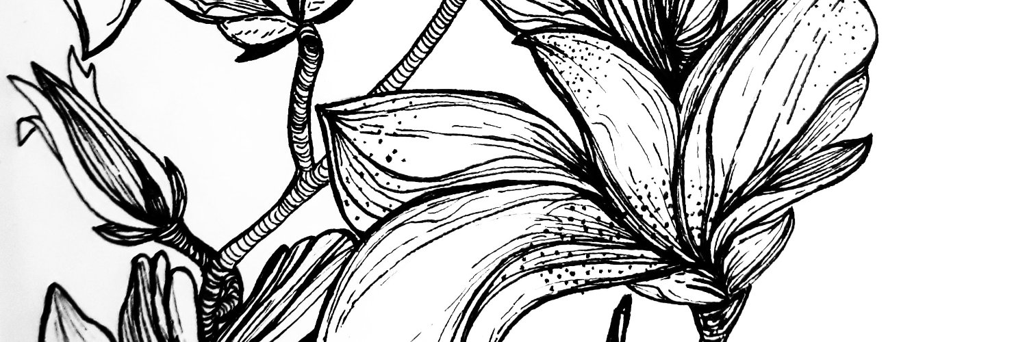Baharsirin1's profile banner image