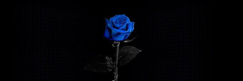 acyzxy's profile banner image