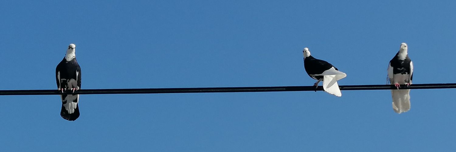akdenizeylul's profile banner image
