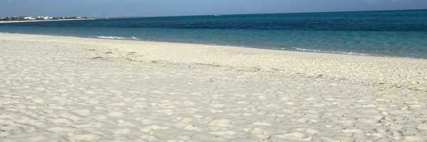 drbhatpsych Profile Banner