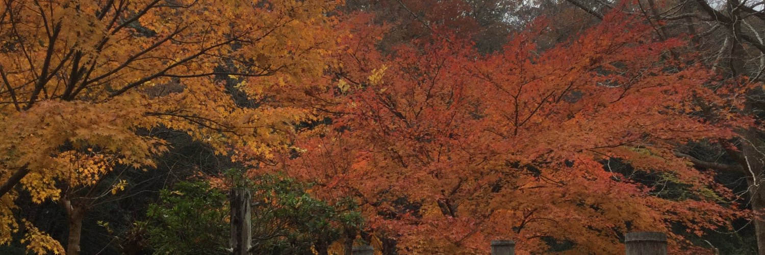 avenger_isumi's profile banner image