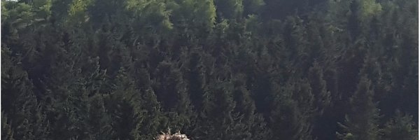 tomcornwell1 Profile Banner