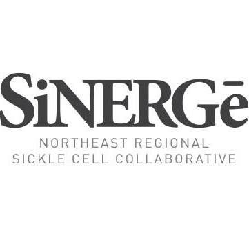 SiNERGe banner