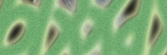 Gnarlyzzz's profile banner image