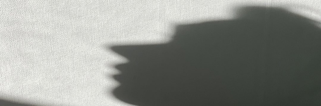 harumizaurus_'s profile banner image