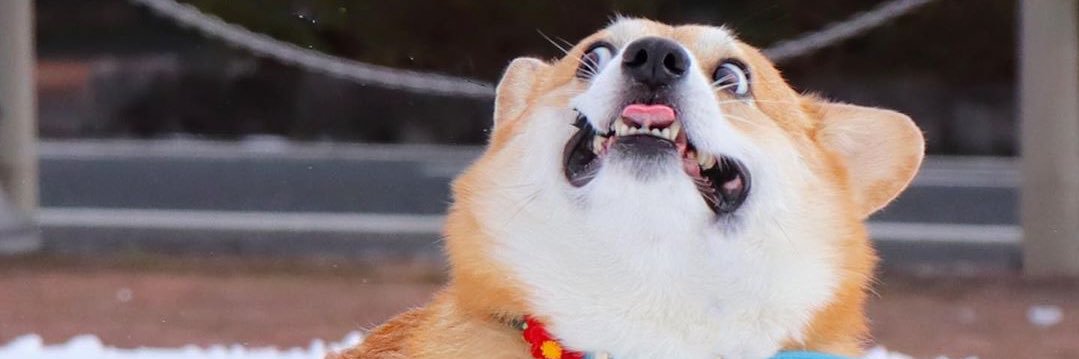 NuT_D0ME's profile banner image