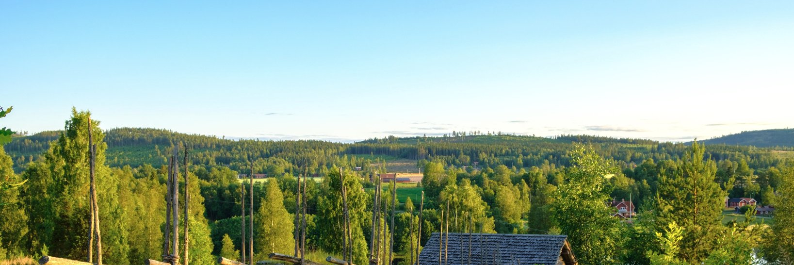 _erikn_'s profile banner image