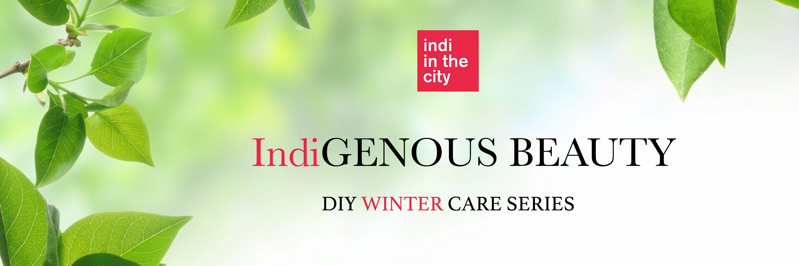 IndiInTheCity's profile banner image