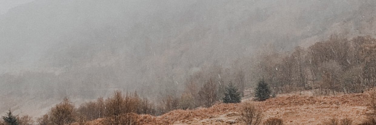 laviedefaye's profile banner image