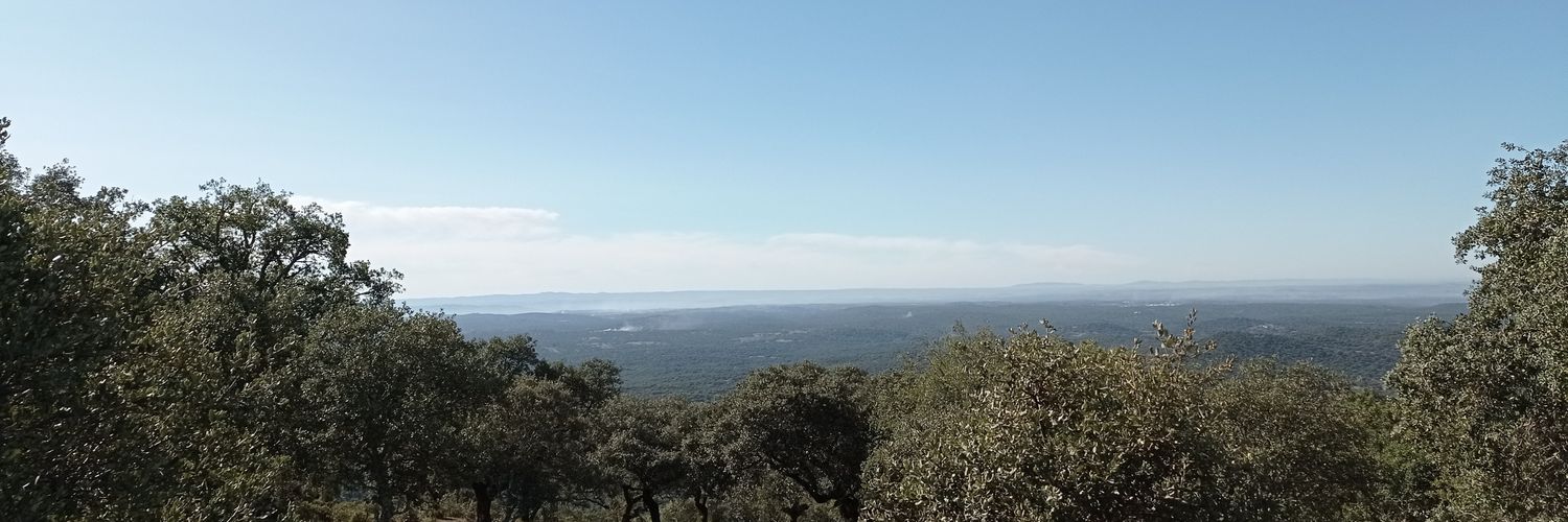 antoniorebollo7's profile banner image