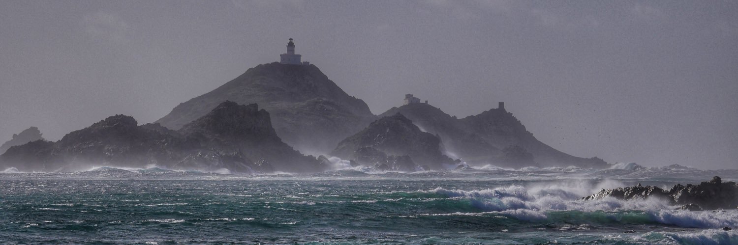 marcel tavera banner