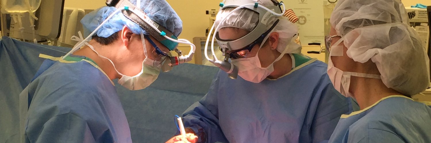 Elizabeth A David MD banner