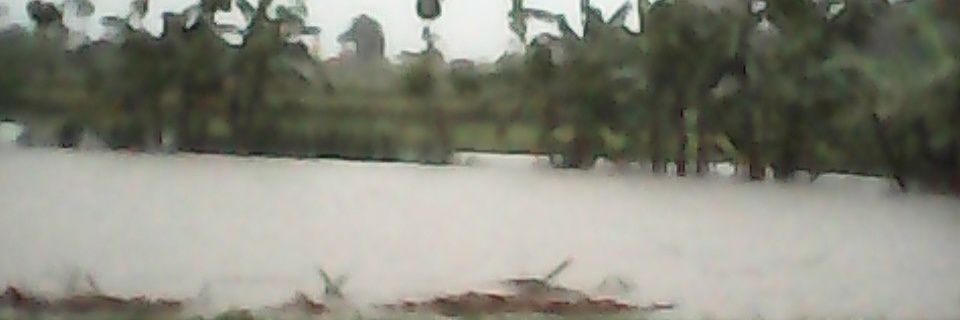 MuhammadBlora's profile banner image