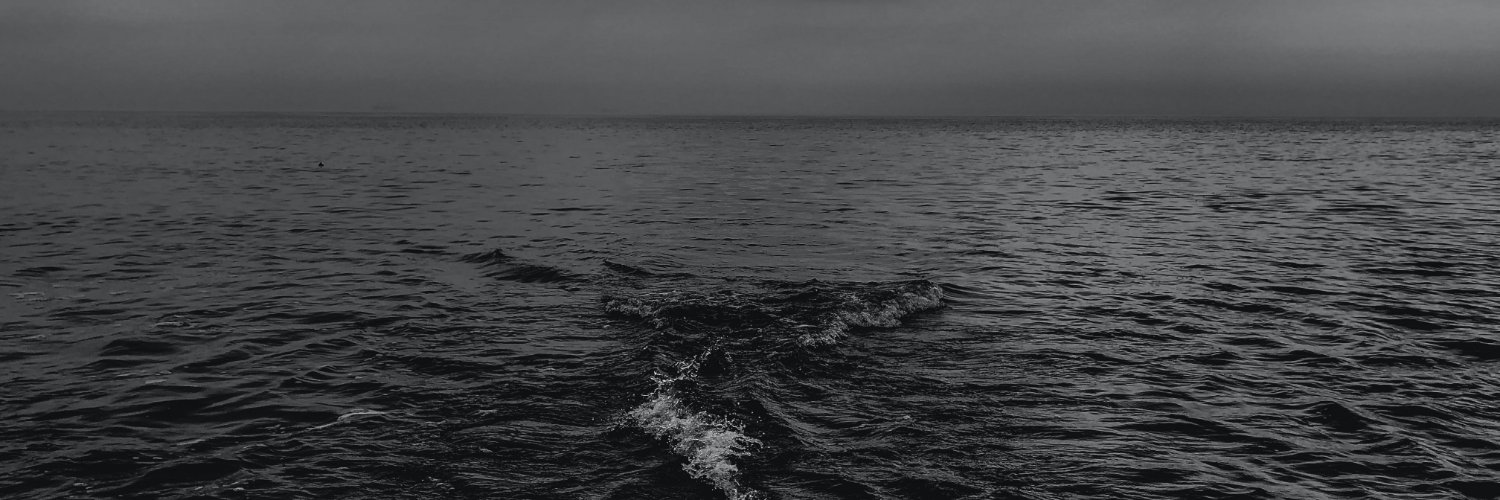Paleblueack's profile banner image