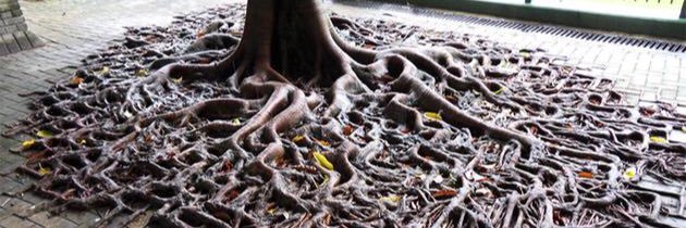 Michele Giugliano @meekeee@mastodon.social banner