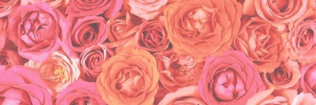 __831xx's profile banner image