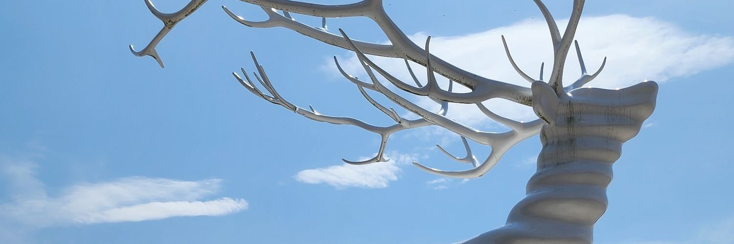 daisukevolley's profile banner image