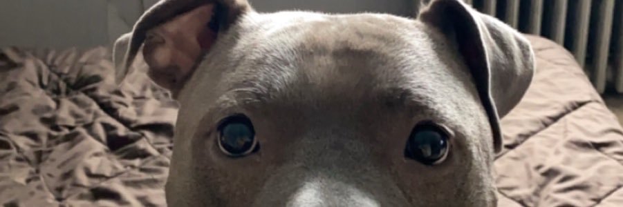 ItsSkateNotSk8's profile banner image